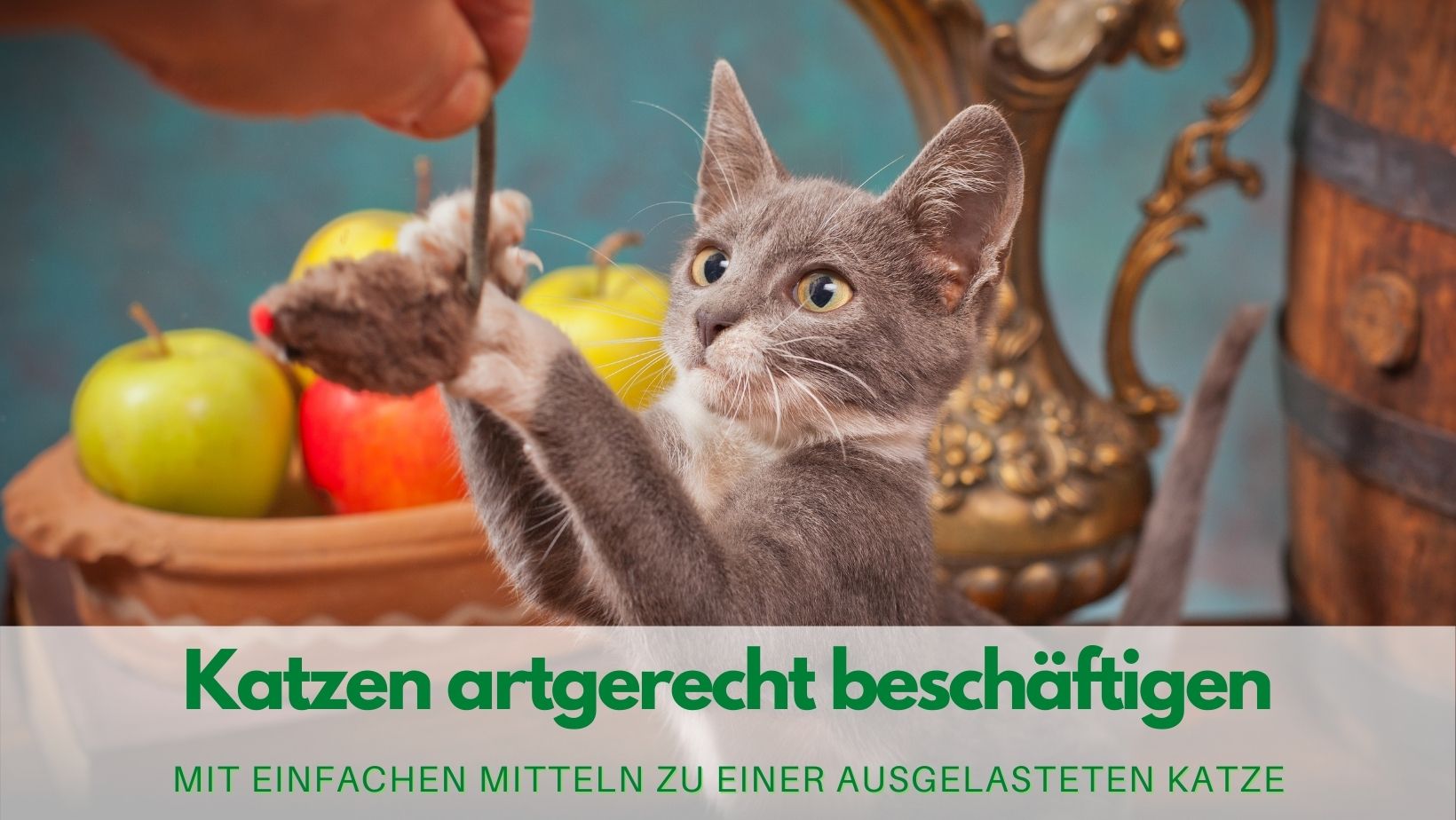 Read more about the article Katzen beschäftigen: Artgerecht & Spielerisch zum Glück