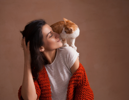 Read more about the article Katzentraining: Was du einer Katze alles beibringen kannst