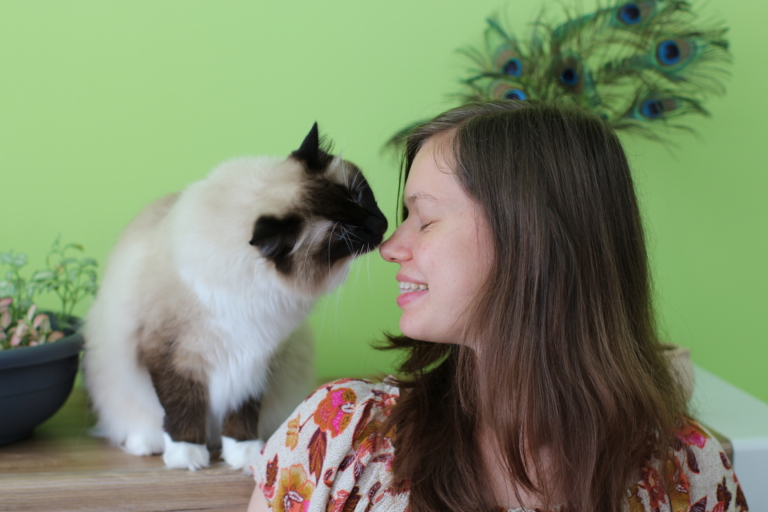 Read more about the article 5 Wege, wie du die Bindung zu deiner Katze stärkst​