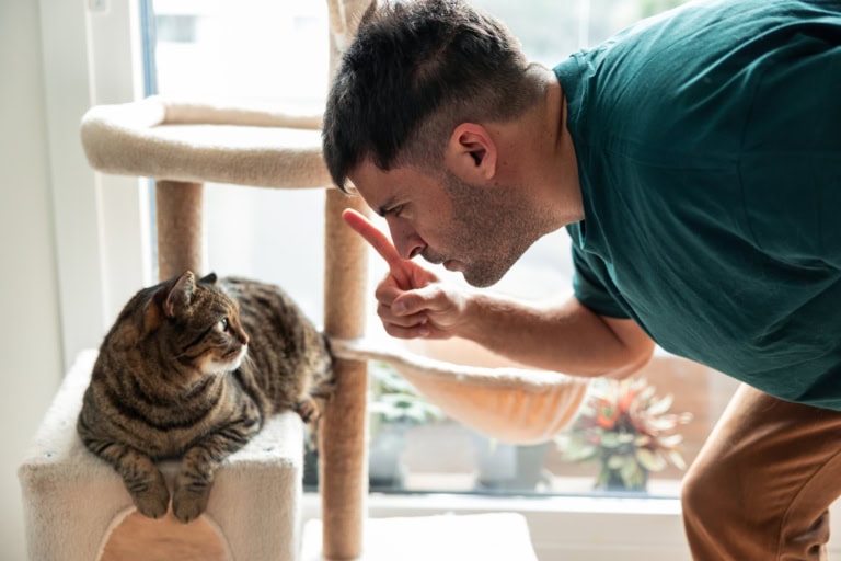 Mehr über den Artikel erfahren Katze bestrafen? Was sie dabei wirklich lernt