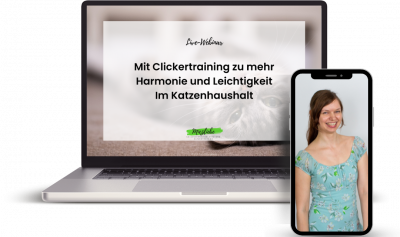 Mock Up Harmonie