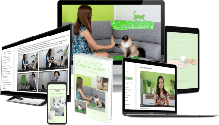 MockUp EinfachClickern